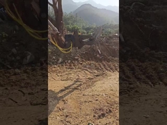 Hydraulischer Typ WuYing Bagger-Grabber, Fünf-Klammer-Holz-Grabber, Anzug für Bagger